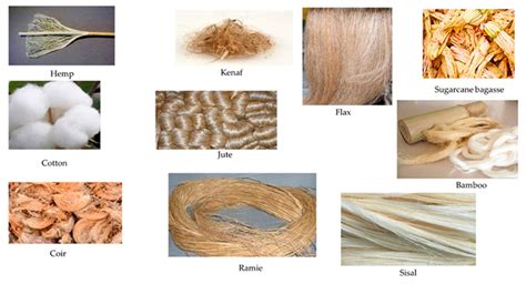  Jute Fiber: Utmärkt för Hållbara Textil Applikationer och Biobaserade Polymerer!