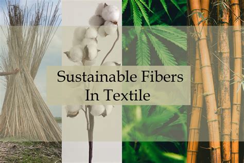  Xavierian Fibers: Innovations for Sustainable Apparel and Technical Textiles?!